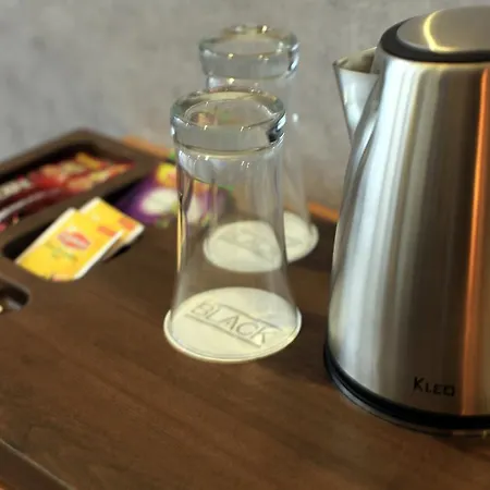 호텔 The Black 에스키셰히르